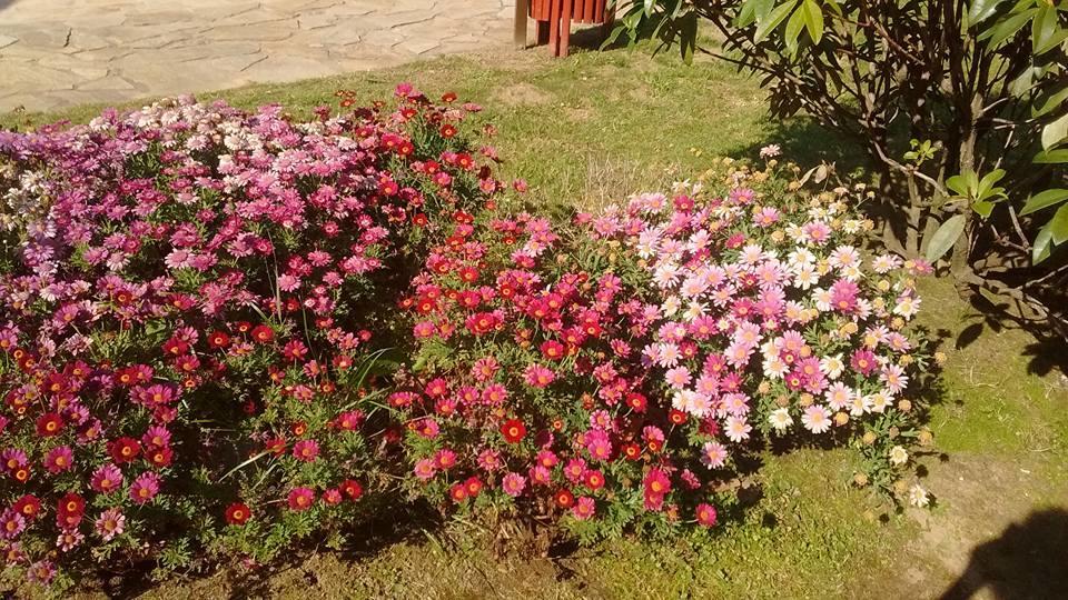פוז Alen Do Mis - Hotel Rural מראה חיצוני תמונה